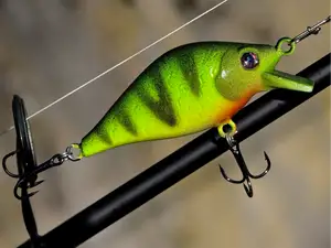 Print->Knot->Fish! Bigger Crankbait fishing lure