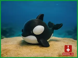 Cute small Killer Whale