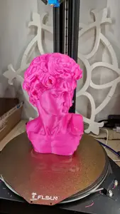 David by Michelangelo (BUST)