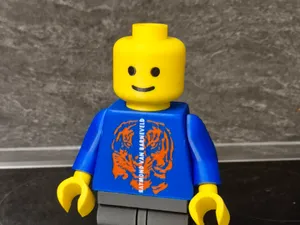 Brick Man Raymond van Barneveld 20cm