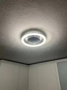 Modern Ceiling LED Lamp