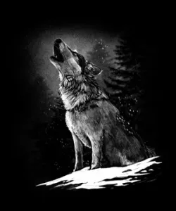 Wolf in the forrest at night with moon - Hueforge MUlticolor Art Design