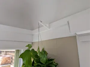 Hanging plant hook (for a picture rail)
