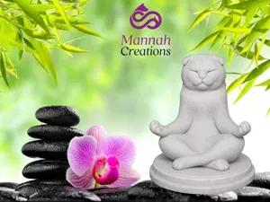 Zen Cat - Scottish Fold