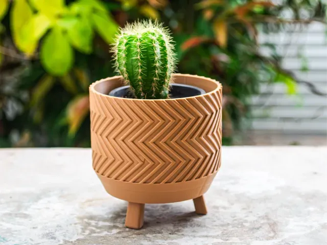 Mini Plant Pot with Stand for Cactus or Succulents