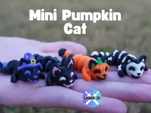 Mini Pumpkin Cat