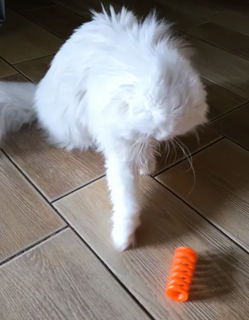 Spring Cat Toy – Reinforced Ends for Safer Play — Фото 3 из 6