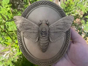 Framed Death’s Head Hawk Moth – Wall Plaque