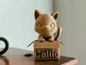 Cute cat in box with custom name