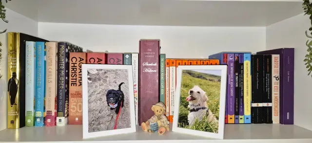 Simple 4x6 Picture frame with back plate and stand — Фото 3 из 6