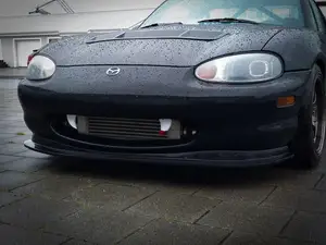 Car fangs / teeth