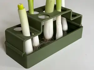 Regrow: Frühlingszwiebeln