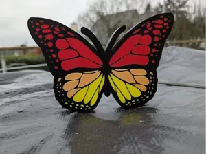 lightbox papillon