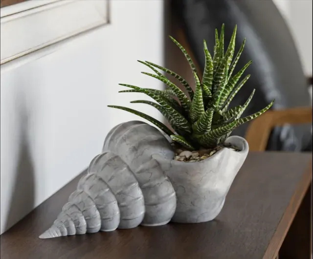 Shell Flower pot — Фото 2 из 3
