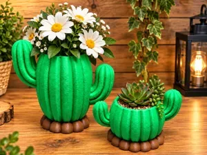 Cactus Planter Set