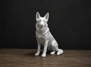 German Shepherd Dog