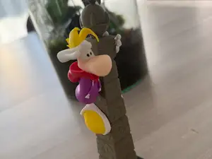 Rayman en couleur