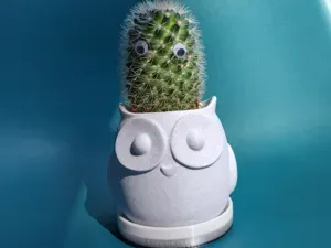 Owl Planter