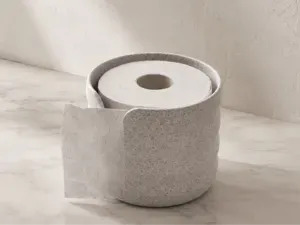 Toilet Paper Holder