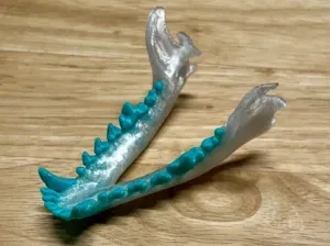 Dog Jaw w/ Colored Teeth for Dual Nozzle Printer