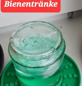 Bienen-/Insektentränke, Biene, bee insect drinker