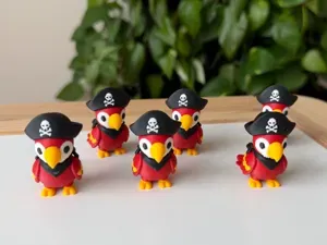 Pirate parrot