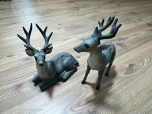 Deer
