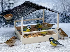 Vogelhaus, Futterhaus, Vogelfutterhaus, 233x233