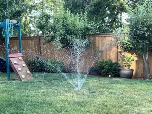 BAM! The 360 Degree Sprinkler