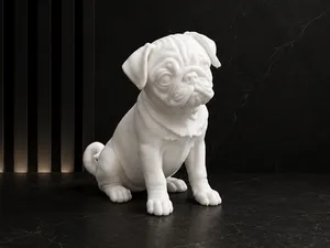 Pug Dog Puppy - Animal