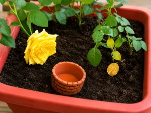 Brick Well Plant Watering Funnel