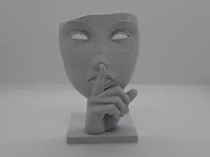 Silent Expression The Art of Mystery and Elegance