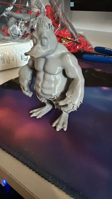 Body builder duck — Image 5 of 5