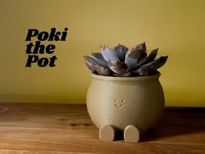 Poki the Pot - The happy cactus and succulent pot