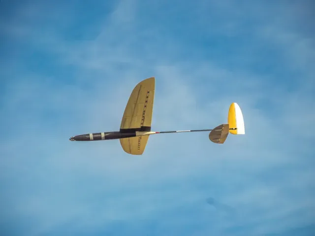High Performance RC Glider, F5k, e-DLG Style, 1.5m
