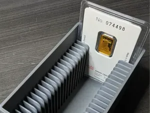 Gram Assay / TEP Card Storage Box (Holds 22)