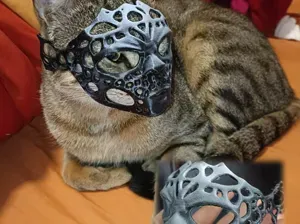 Mask of the Feline Avenger