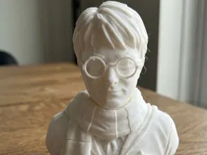 Harry potter Bust 3D Print Model 236