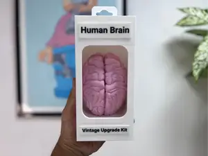 Vintage Upgrade Kit: Human Brain (Funny Gag Gift)