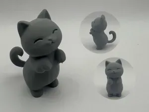 Curious Paws Cat