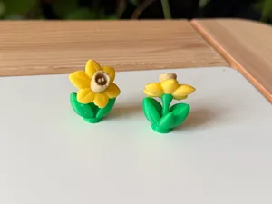 Narcissus