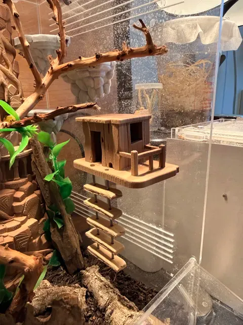 Terra Treehouse Platform size L — Image 2 of 3