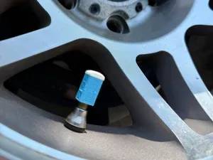 Valve Stem Caps : Portable Toilet !