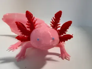 Slushii, the Axolotl, small and life-size