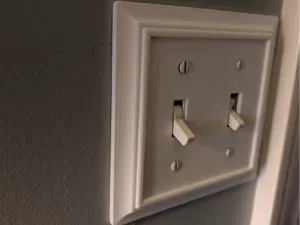 Decorative Double Light Switch Cover Plate