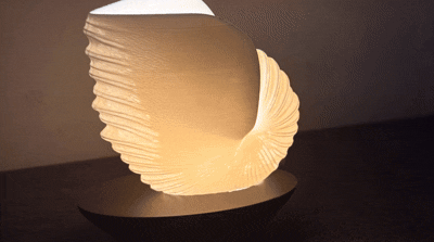 Nautilus Shell LED Lamp — Warm Ambient Light
