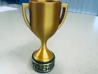 Customizable Trophy