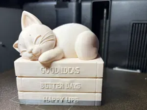 Sleeping Cat on Books – Cozy Shelf Decoration
