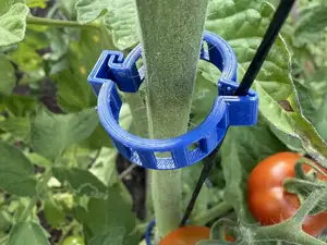 Trellis clip for tomato and other plants