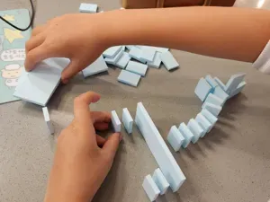 Tyson's Domino Starter
